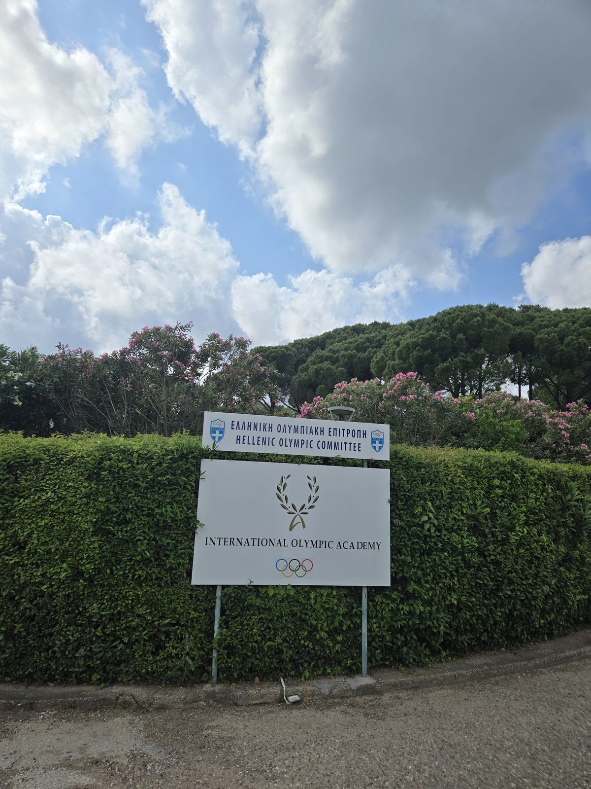 Olivenöl als Medizin? Ein Bericht aus Ancient Olympia